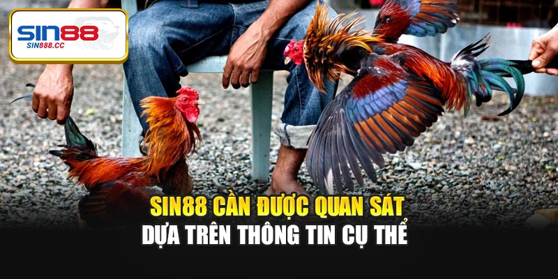Sin88 cần được quan sát dựa trên thông tin cụ thể